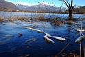 Lago Piccolo di Avigliana ghiacciato_048